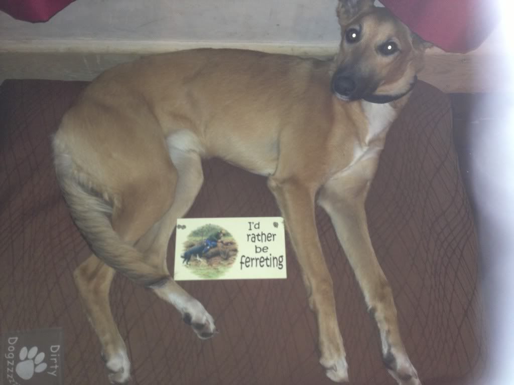 112F1DE3-1A6D-4C26-AFAB-B96AA91FE609-111