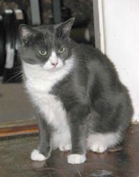 Boog's reference photo.