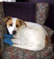 Parker's reference photo.