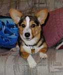 Penni's reference photo.