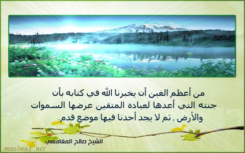32NNNS_zpscb458691.jpg