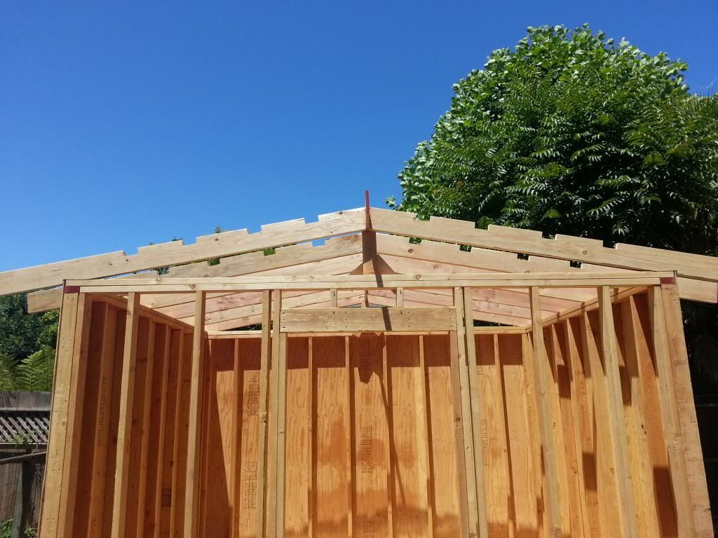 20130622_135517_zps6fca4d2a.jpg