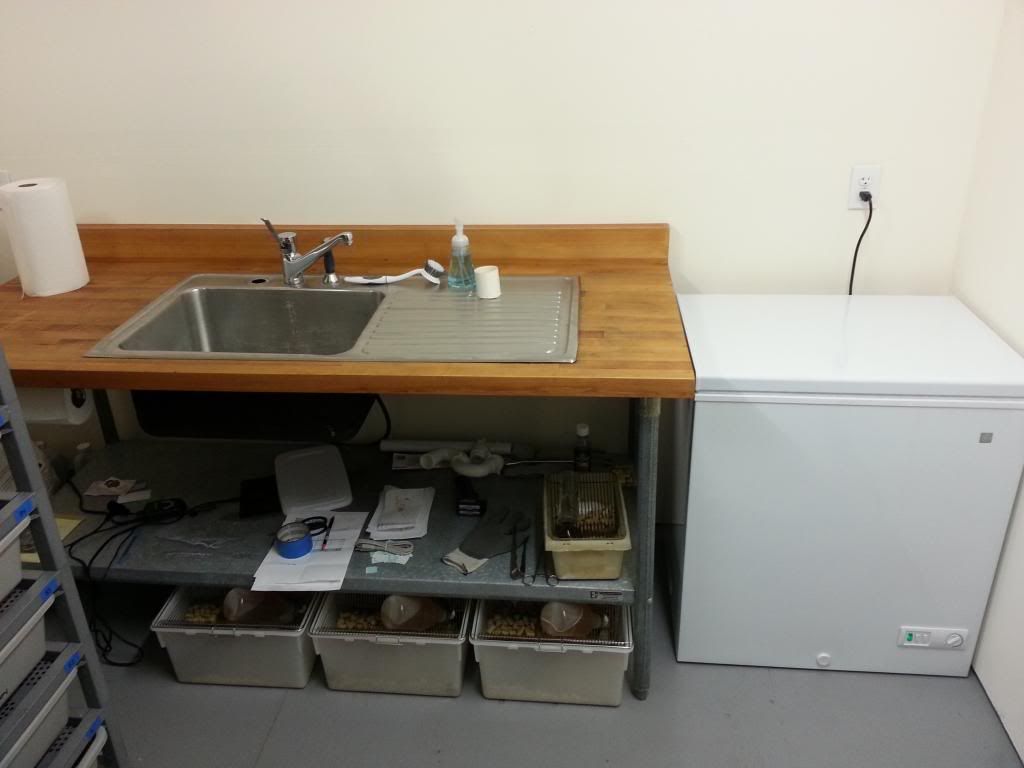 20130927_192523_zps70998d1c.jpg