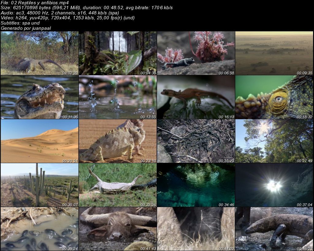 02Reptilesyanfibios zps98bcfc5e - BBC Life (2009) [DVDRip MP4 AC3 5.1 Cast.] [Subt. ES] [VH]