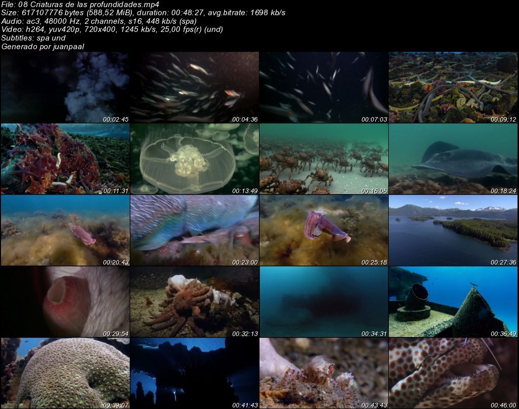 08Criaturasdelasprofundidades zps1752b59a - BBC Life (2009) [DVDRip MP4 AC3 5.1 Cast.] [Subt. ES] [VH]