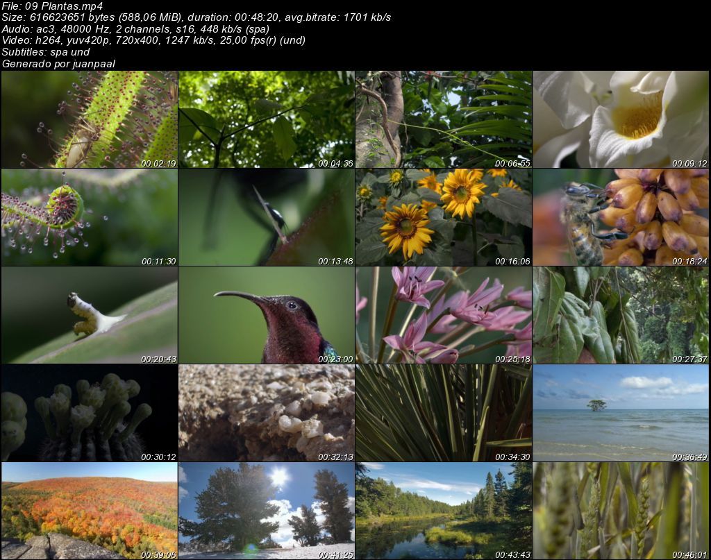09Plantas zpsc3ec198c - BBC Life (2009) [DVDRip MP4 AC3 5.1 Cast.] [Subt. ES] [VH]