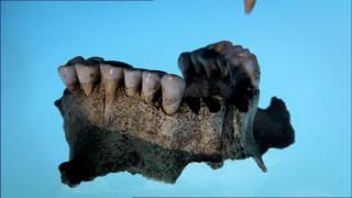 PDVD 008 zpsa35baade - Apocalipsis Vikingo [Nat.Geo.] (2013) [DVD5] [ES/IN] [Subti. ES] [PAL] [VH]