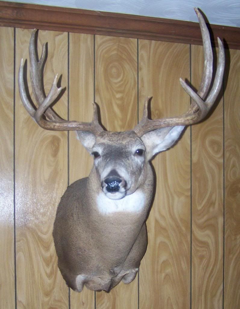 Deer Hunters Man Cave, Lets See What You Got. 