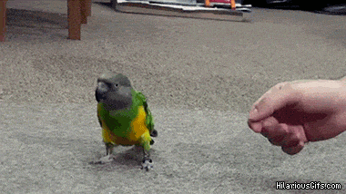 4EejT_zpsbe2cb17a.gif