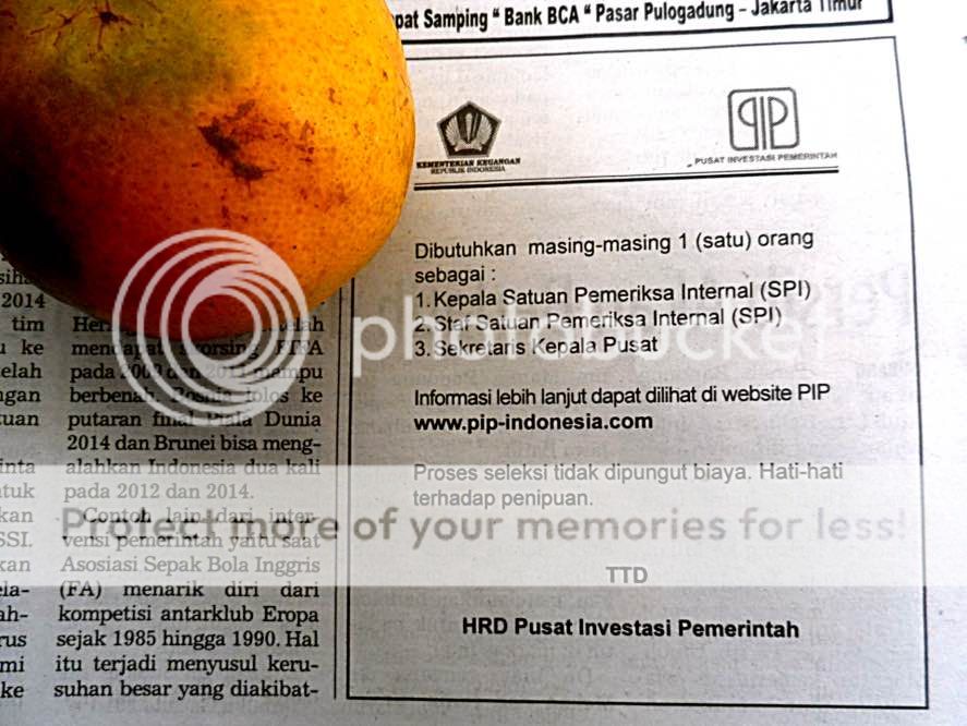 Iklan lowongan Pusat Investasi Pemerintah Indonesia Kementerian Keuangan